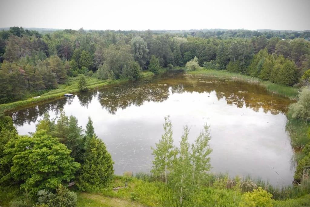 Cottage Retreat On 11 Acres Flesherton Exterior foto